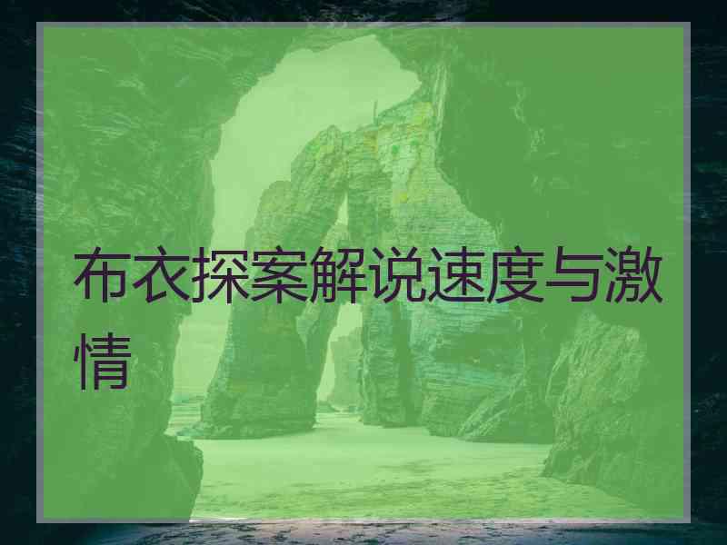 布衣探案解说速度与激情