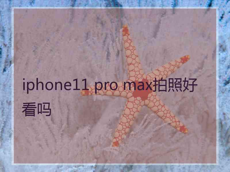 iphone11 pro max拍照好看吗