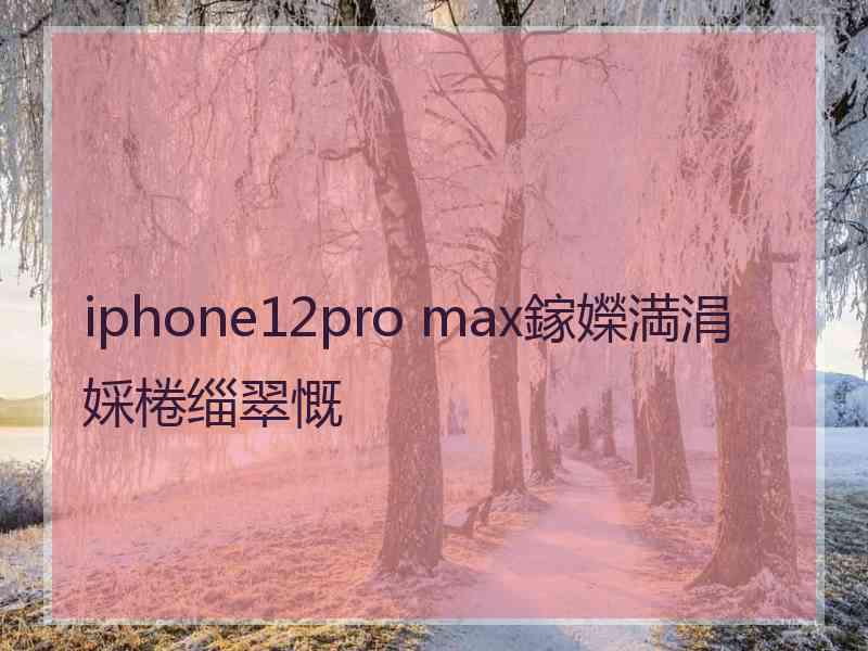 iphone12pro max鎵嬫満涓婇棬缁翠慨