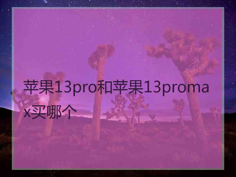 苹果13pro和苹果13promax买哪个