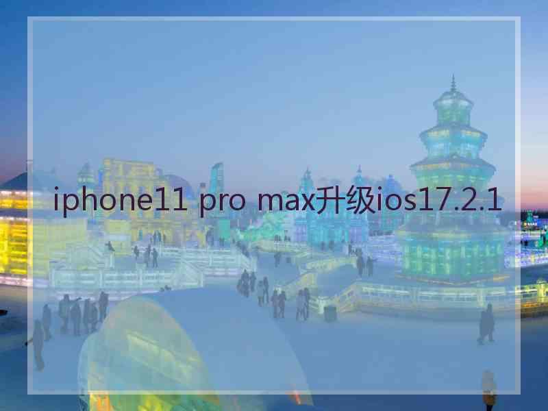 iphone11 pro max升级ios17.2.1