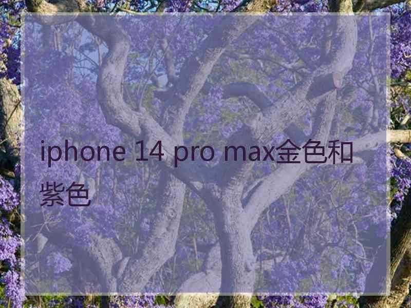 iphone 14 pro max金色和紫色