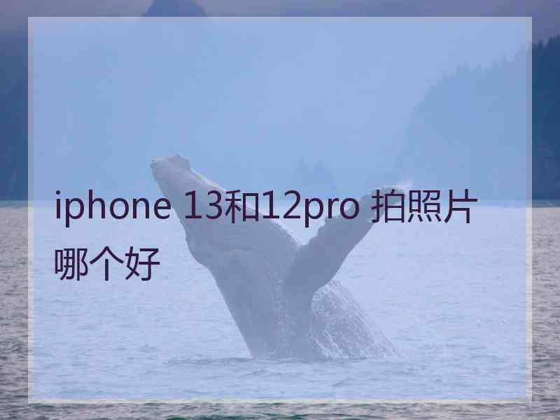 iphone 13和12pro 拍照片哪个好