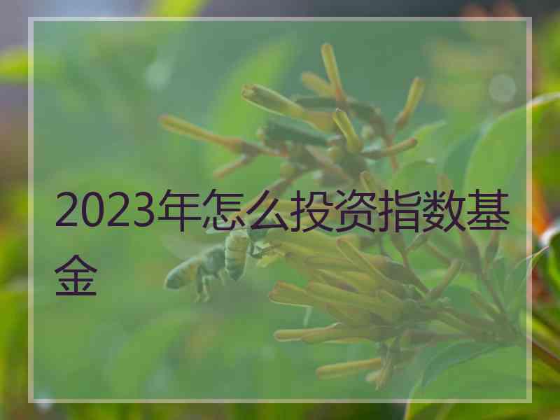 2023年怎么投资指数基金