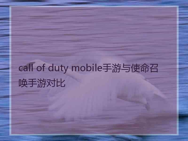 call of duty mobile手游与使命召唤手游对比