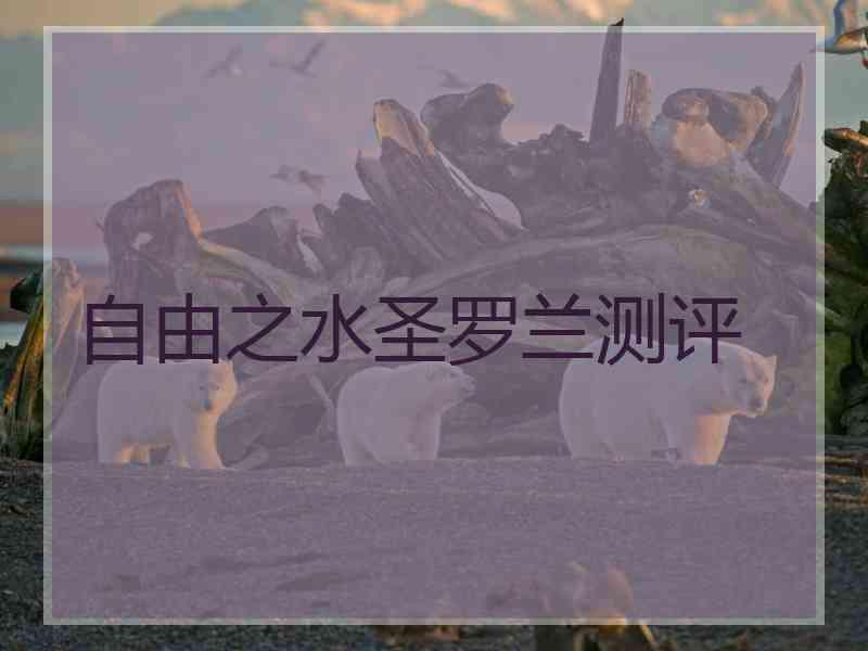 自由之水圣罗兰测评