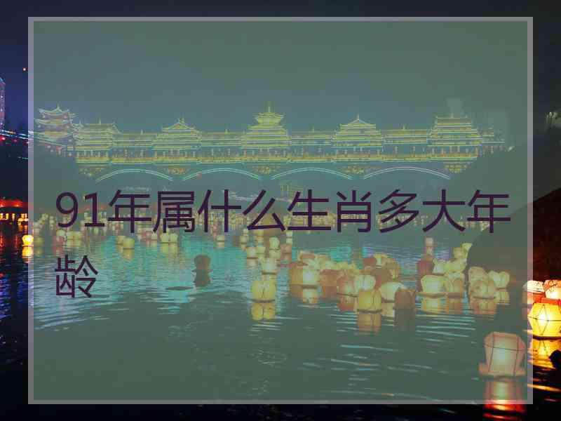 91年属什么生肖多大年龄