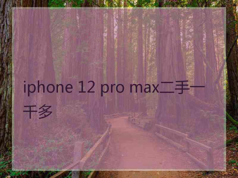 iphone 12 pro max二手一千多