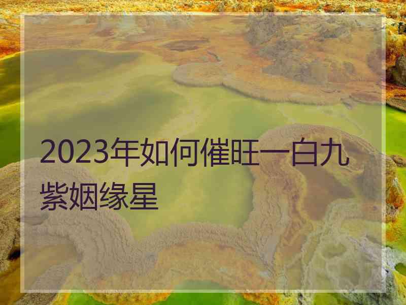 2023年如何催旺一白九紫姻缘星