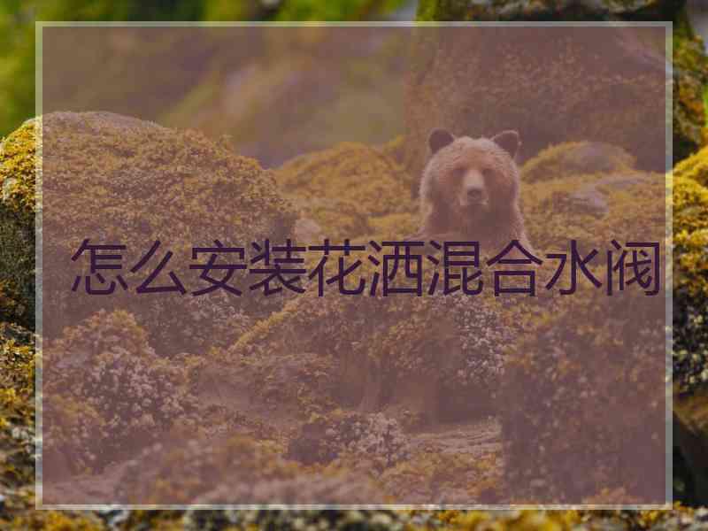 怎么安装花洒混合水阀