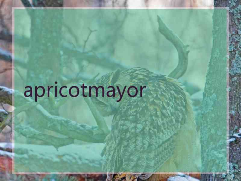 apricotmayor