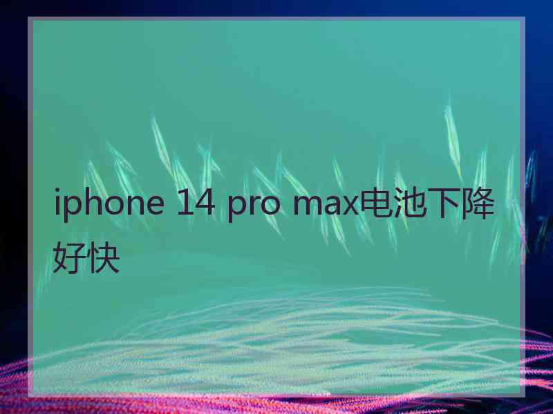 iphone 14 pro max电池下降好快