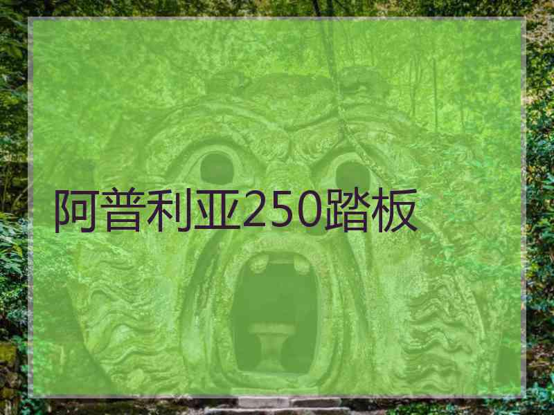 阿普利亚250踏板