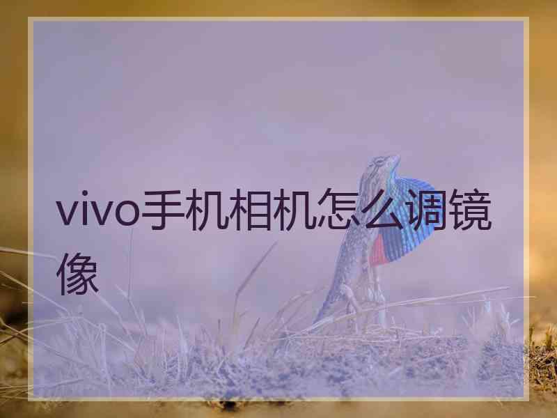 vivo手机相机怎么调镜像