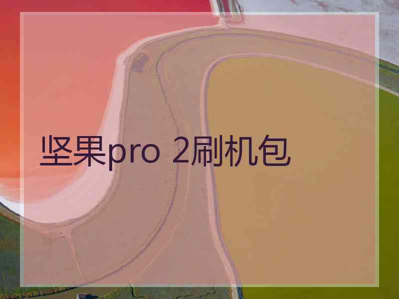 坚果pro 2刷机包