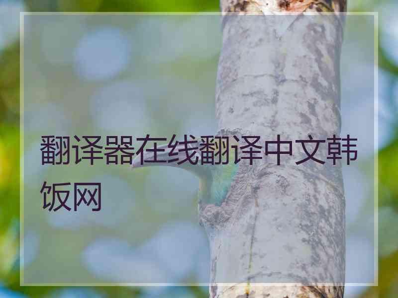 翻译器在线翻译中文韩饭网