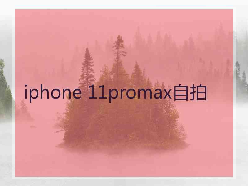 iphone 11promax自拍