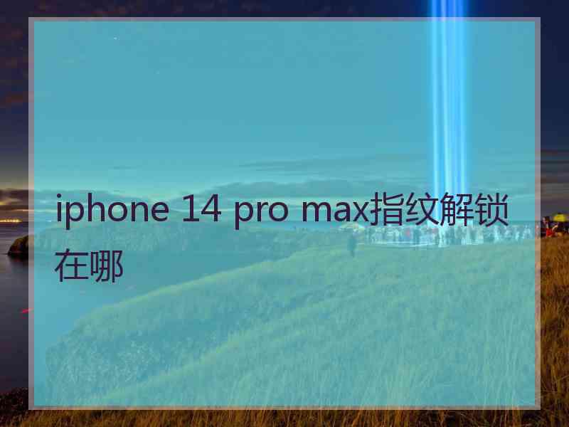 iphone 14 pro max指纹解锁在哪