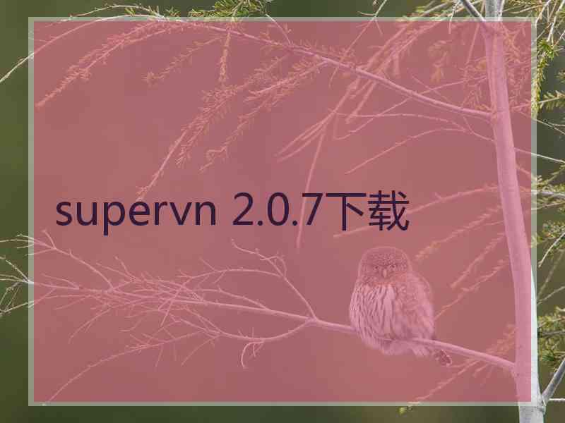 supervn 2.0.7下载