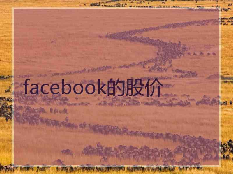 facebook的股价