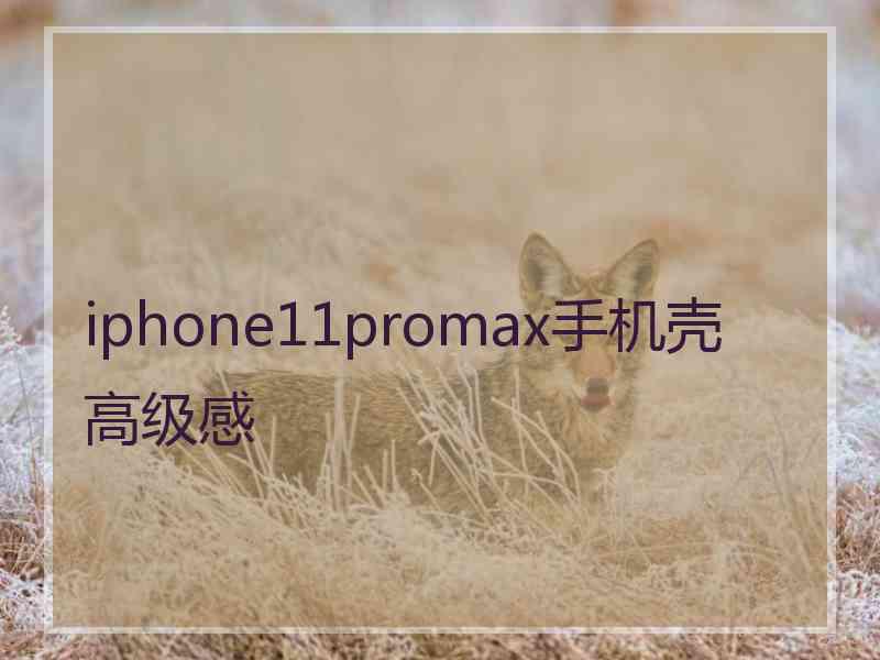 iphone11promax手机壳 高级感