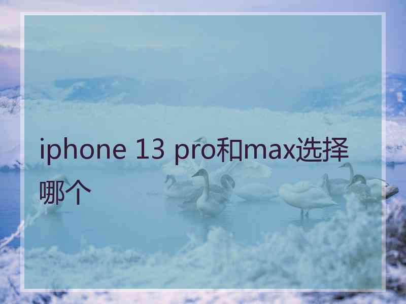 iphone 13 pro和max选择哪个