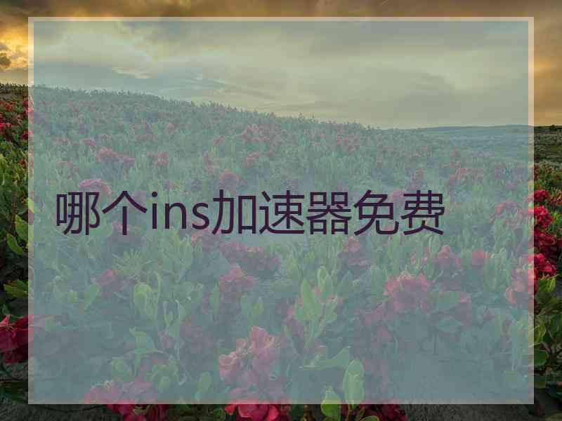 哪个ins加速器免费