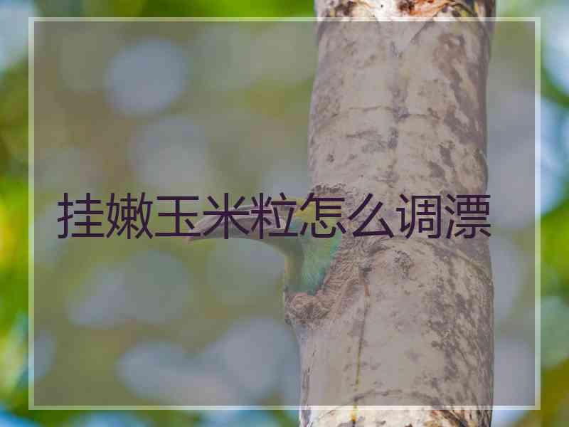 挂嫩玉米粒怎么调漂