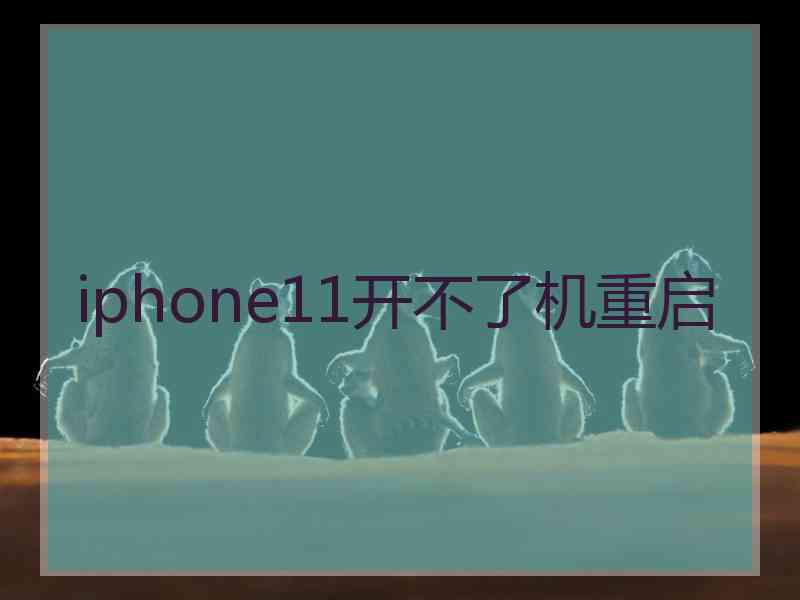 iphone11开不了机重启