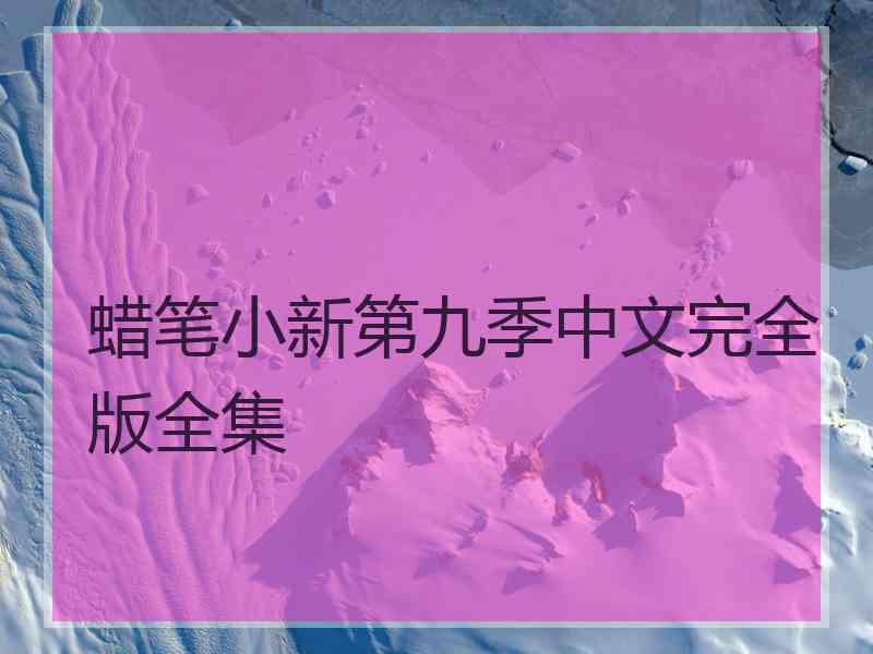 蜡笔小新第九季中文完全版全集