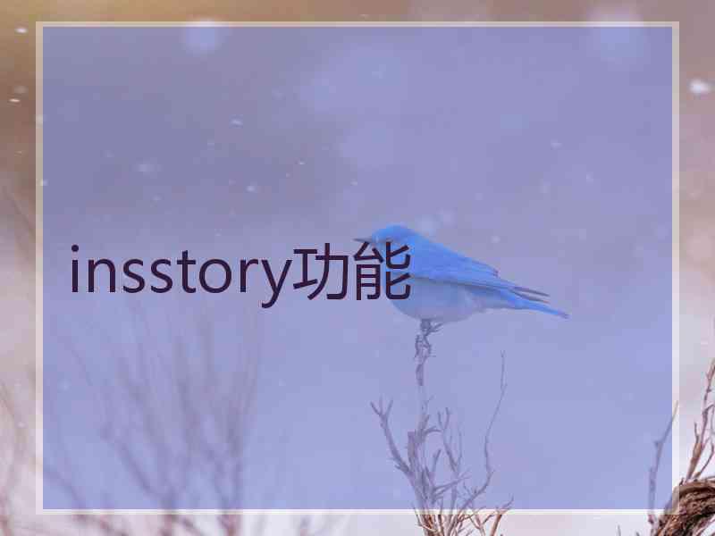 insstory功能