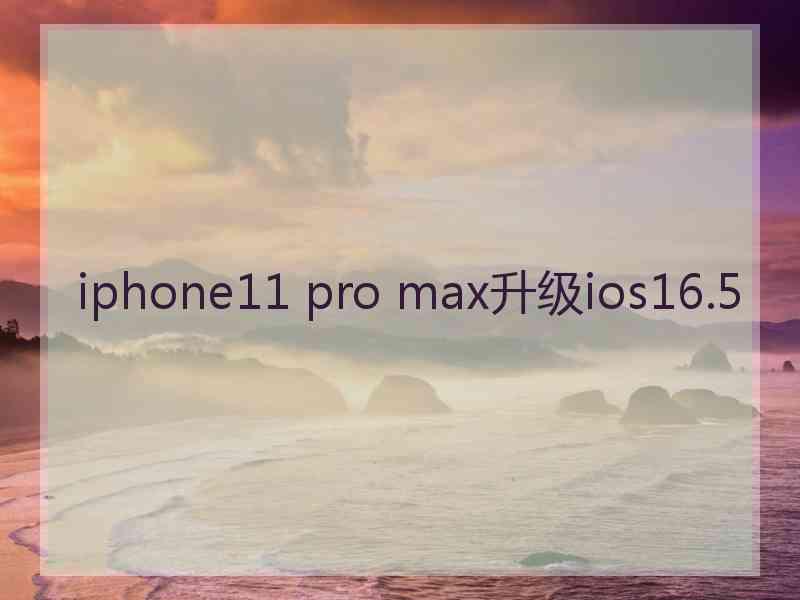 iphone11 pro max升级ios16.5