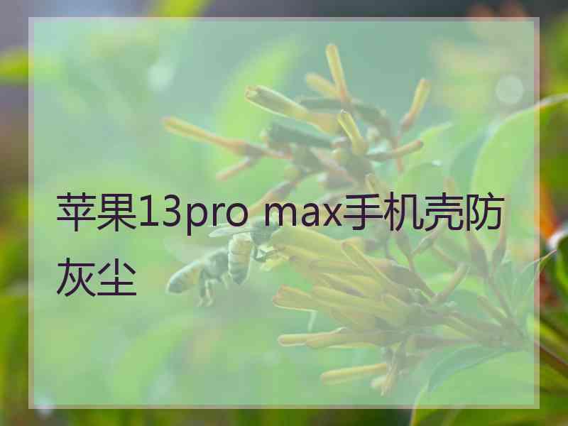 苹果13pro max手机壳防灰尘