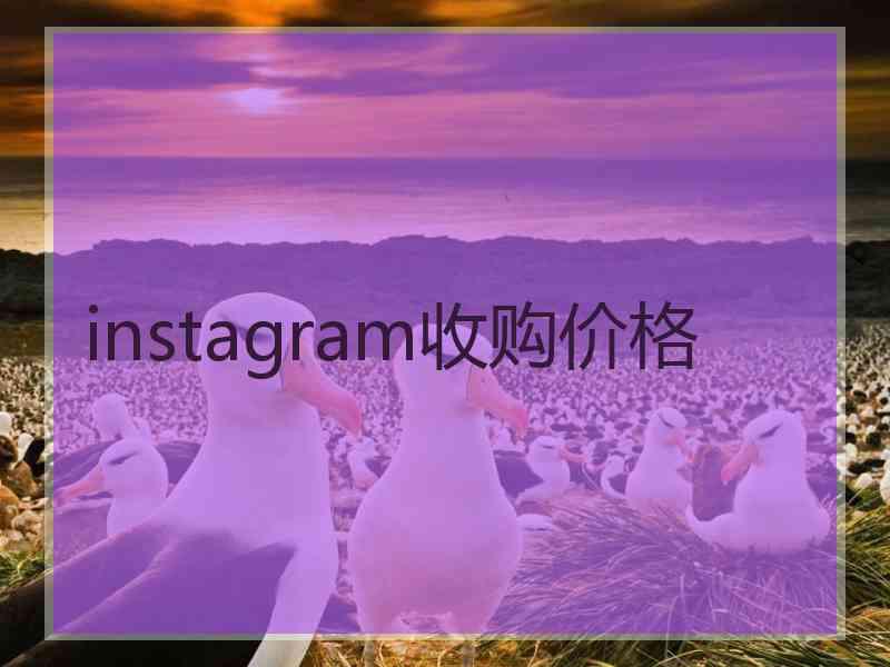 instagram收购价格