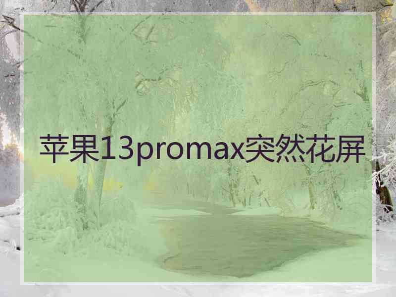 苹果13promax突然花屏