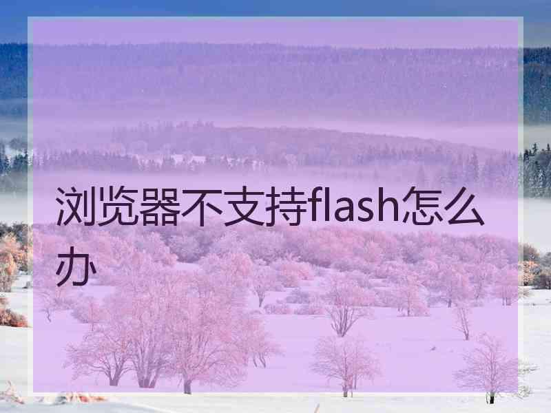 浏览器不支持flash怎么办