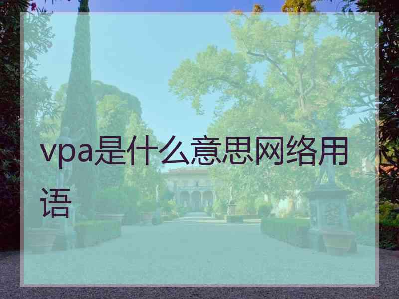 vpa是什么意思网络用语