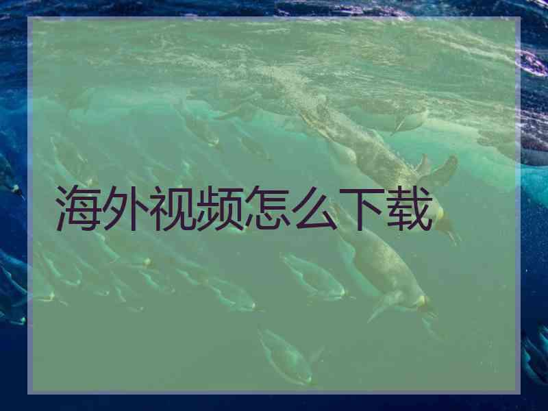 海外视频怎么下载