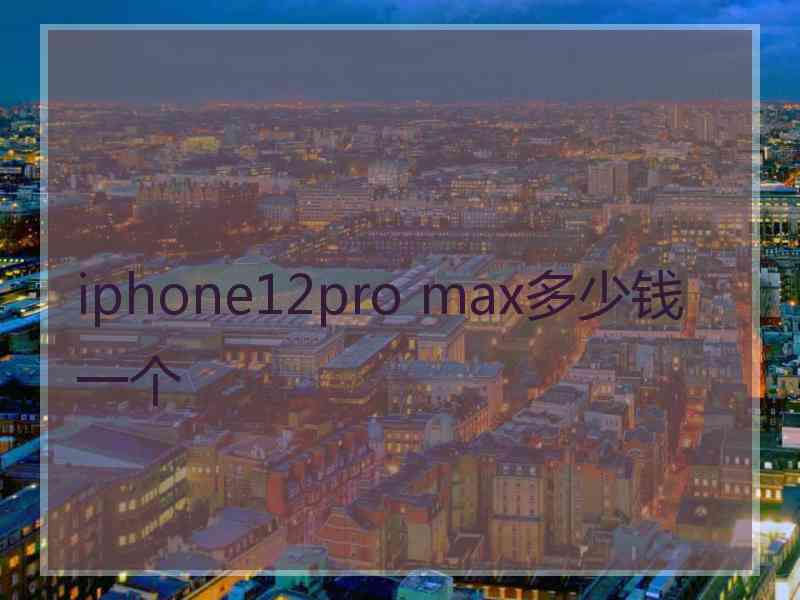 iphone12pro max多少钱一个