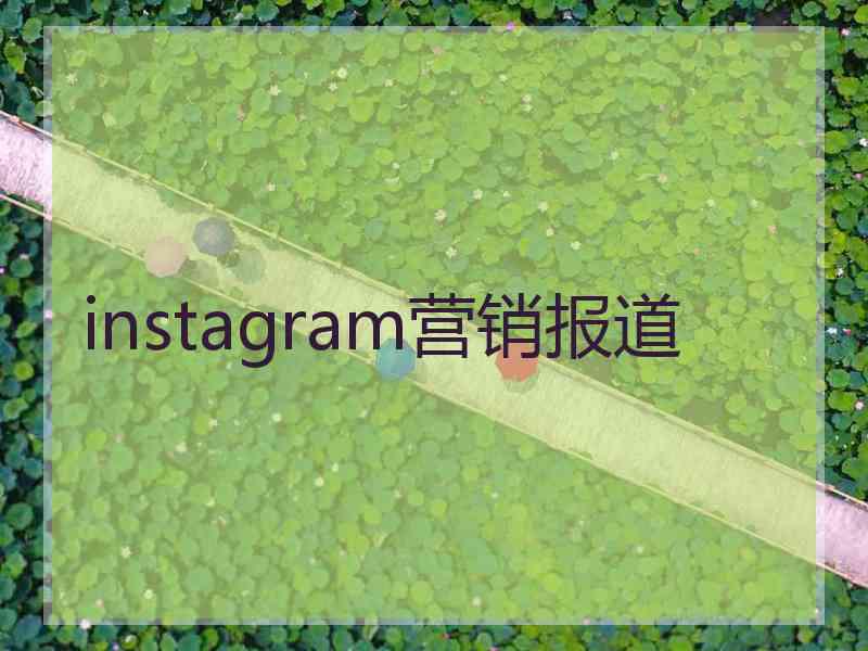 instagram营销报道