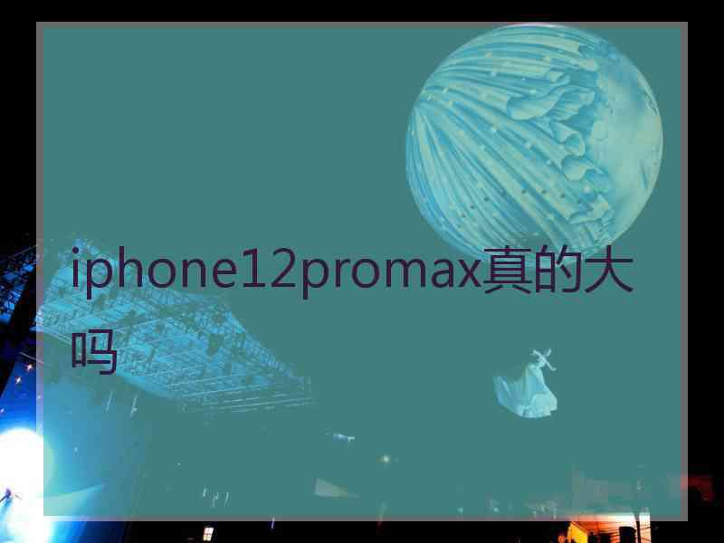 iphone12promax真的大吗