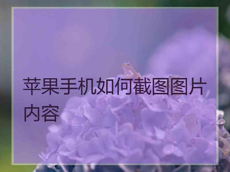 苹果手机如何截图图片内容