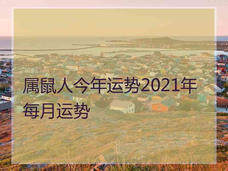 属鼠人今年运势2021年每月运势