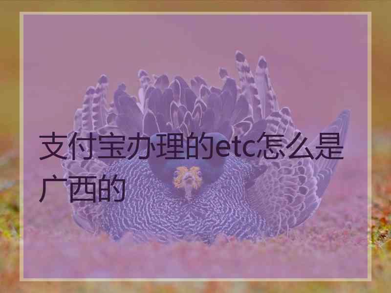 支付宝办理的etc怎么是广西的