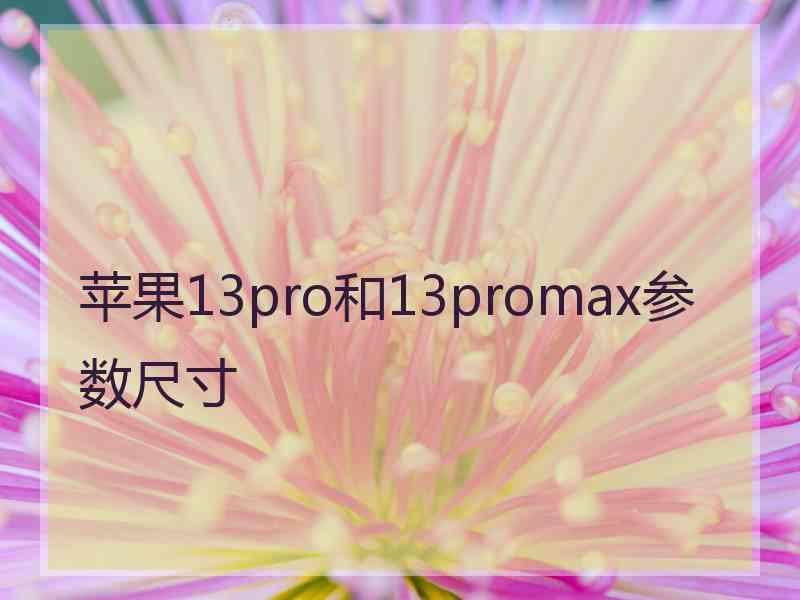 苹果13pro和13promax参数尺寸