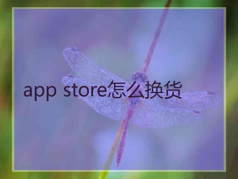 app store怎么换货