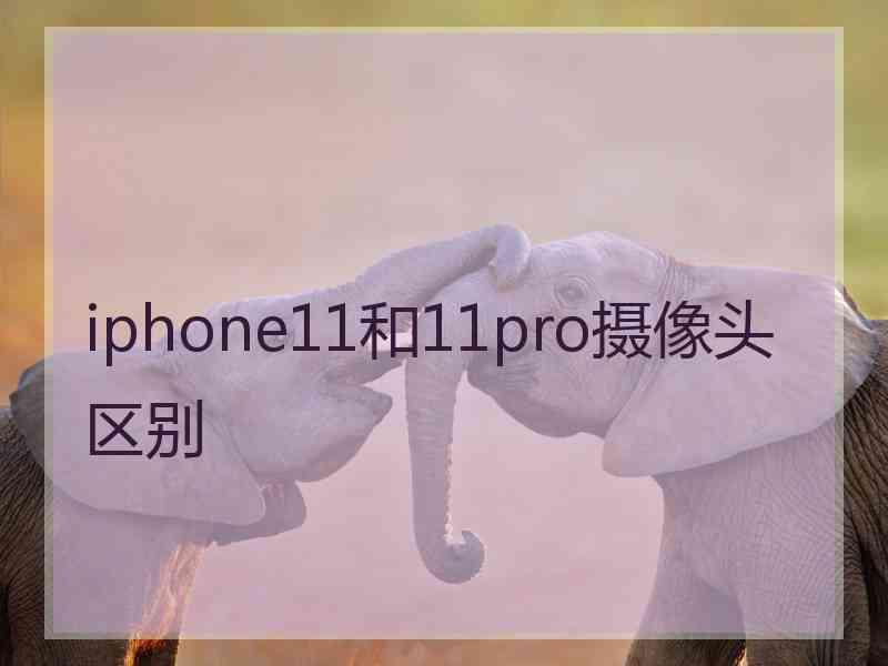 iphone11和11pro摄像头区别