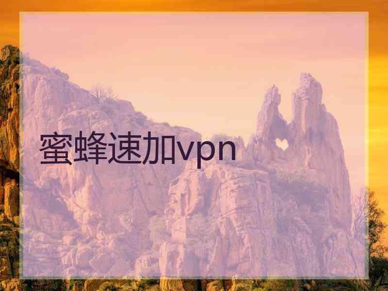 蜜蜂速加vpn