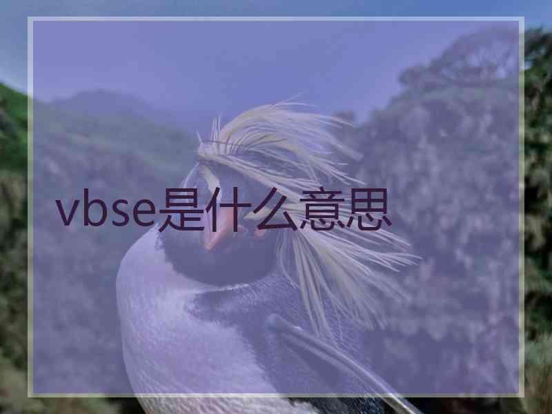 vbse是什么意思