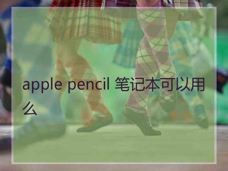 apple pencil 笔记本可以用么